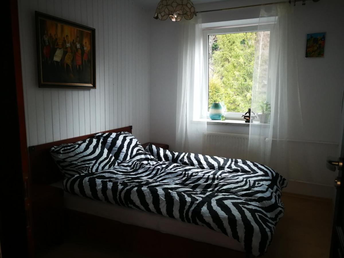 Szczyrk Mountainski Apartament Εξωτερικό φωτογραφία